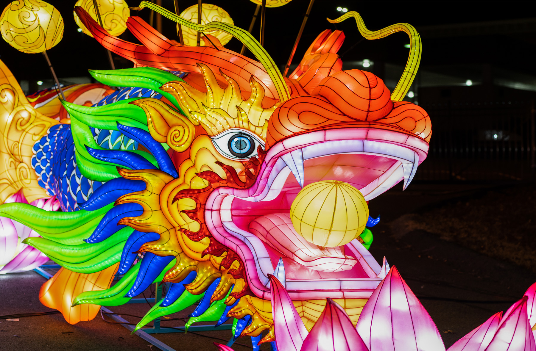A photo of a dragon lantern
